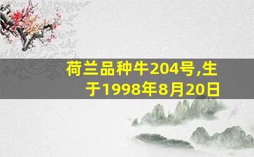 荷兰品种牛204号,生于1998年8月20日