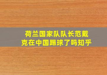 荷兰国家队队长范戴克在中国踢球了吗知乎