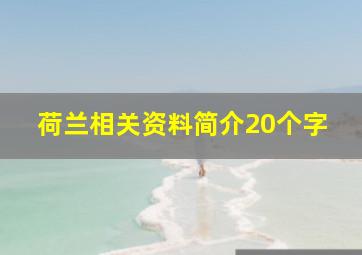 荷兰相关资料简介20个字