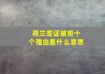 荷兰签证被拒十个理由是什么意思