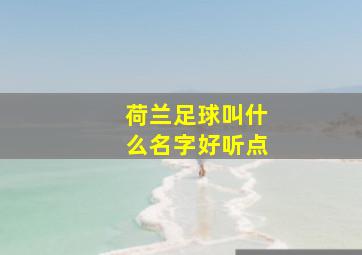 荷兰足球叫什么名字好听点