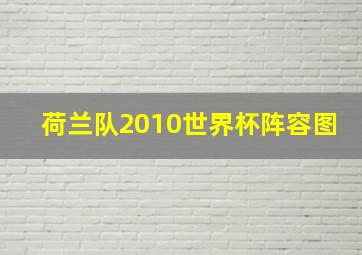 荷兰队2010世界杯阵容图