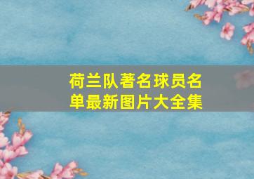 荷兰队著名球员名单最新图片大全集