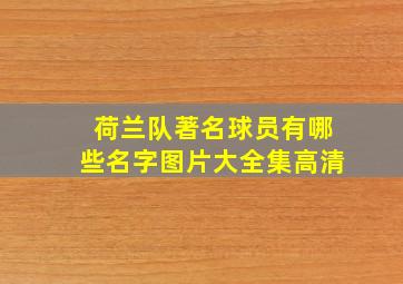 荷兰队著名球员有哪些名字图片大全集高清