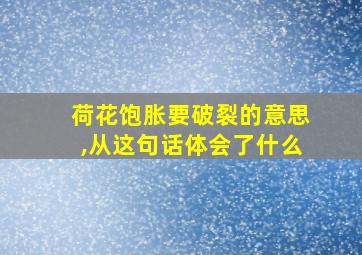 荷花饱胀要破裂的意思,从这句话体会了什么