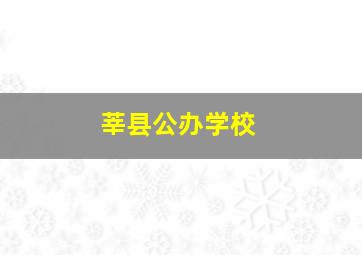 莘县公办学校