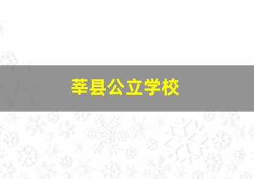 莘县公立学校