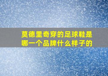 莫德里奇穿的足球鞋是哪一个品牌什么样子的