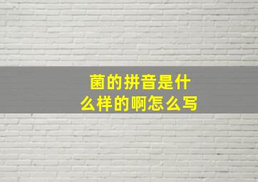 菌的拼音是什么样的啊怎么写