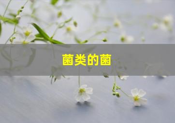 菌类的菌