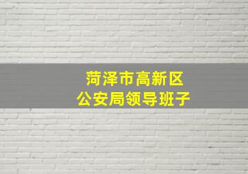 菏泽市高新区公安局领导班子