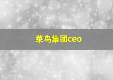 菜鸟集团ceo