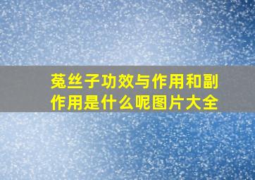 菟丝子功效与作用和副作用是什么呢图片大全