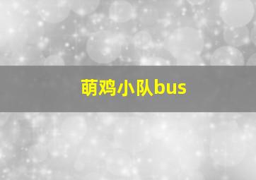 萌鸡小队bus