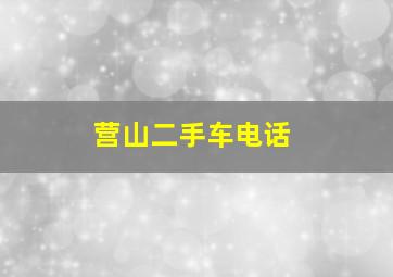 营山二手车电话