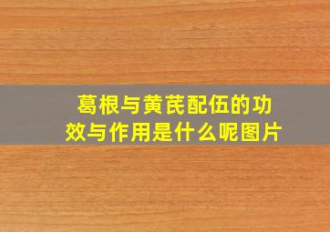 葛根与黄芪配伍的功效与作用是什么呢图片