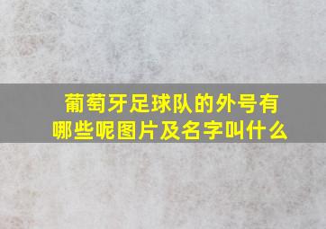 葡萄牙足球队的外号有哪些呢图片及名字叫什么