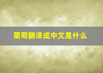 葡萄翻译成中文是什么