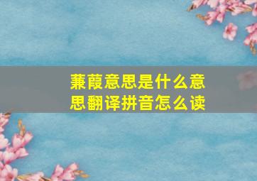 蒹葭意思是什么意思翻译拼音怎么读