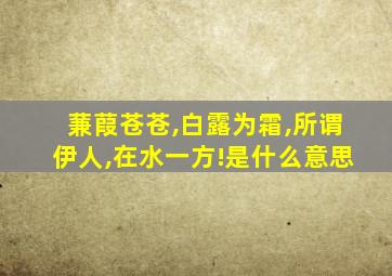 蒹葭苍苍,白露为霜,所谓伊人,在水一方!是什么意思