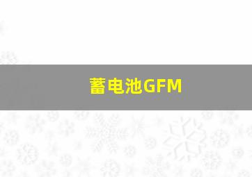 蓄电池GFM