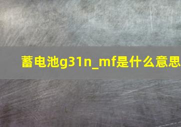 蓄电池g31n_mf是什么意思