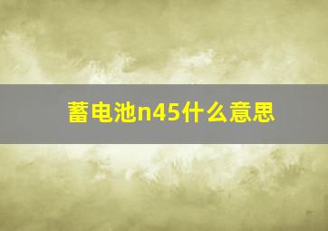 蓄电池n45什么意思