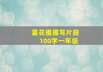 蓝花楹描写片段100字一年级