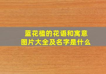 蓝花楹的花语和寓意图片大全及名字是什么