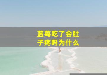 蓝莓吃了会肚子疼吗为什么