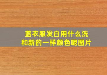 蓝衣服发白用什么洗和新的一样颜色呢图片