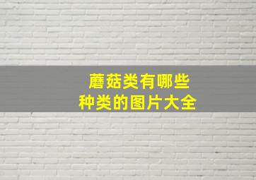 蘑菇类有哪些种类的图片大全