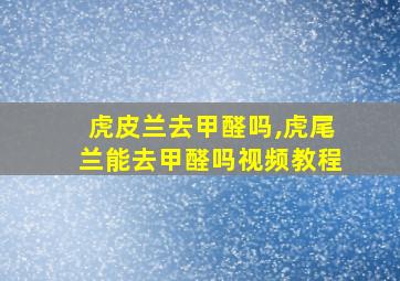 虎皮兰去甲醛吗,虎尾兰能去甲醛吗视频教程