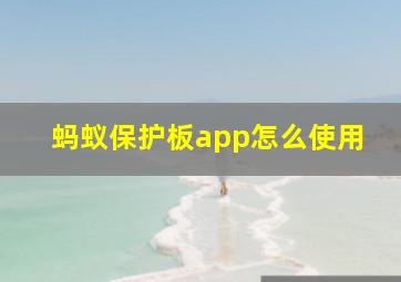 蚂蚁保护板app怎么使用