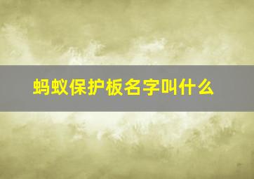 蚂蚁保护板名字叫什么