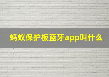 蚂蚁保护板蓝牙app叫什么