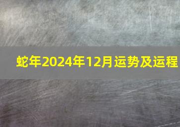 蛇年2024年12月运势及运程