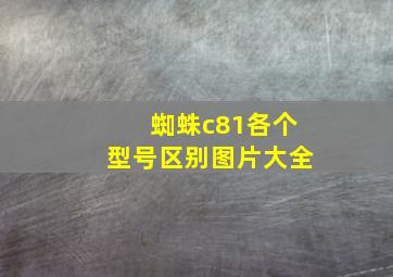 蜘蛛c81各个型号区别图片大全