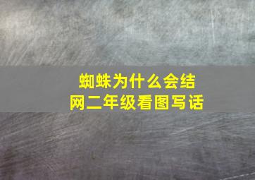 蜘蛛为什么会结网二年级看图写话