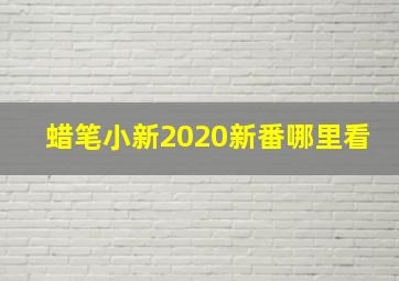 蜡笔小新2020新番哪里看