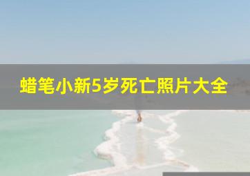 蜡笔小新5岁死亡照片大全