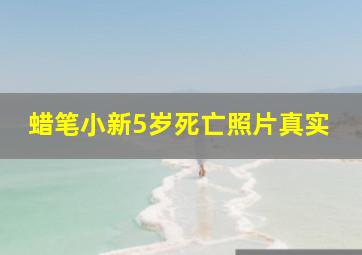 蜡笔小新5岁死亡照片真实