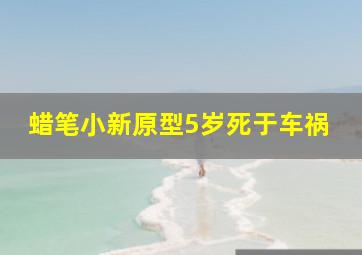 蜡笔小新原型5岁死于车祸