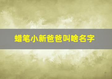 蜡笔小新爸爸叫啥名字