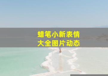 蜡笔小新表情大全图片动态