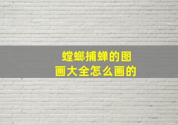 螳螂捕蝉的图画大全怎么画的