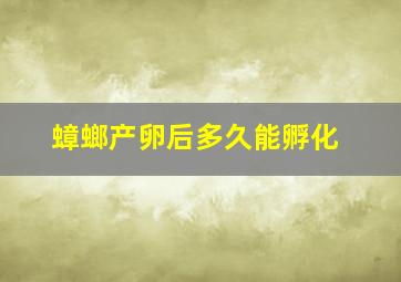 蟑螂产卵后多久能孵化