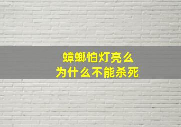 蟑螂怕灯亮么为什么不能杀死