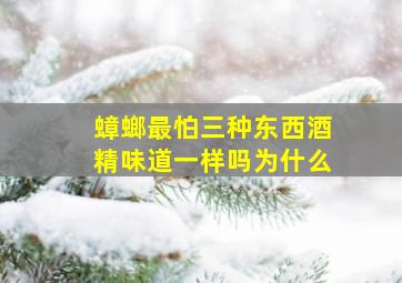 蟑螂最怕三种东西酒精味道一样吗为什么