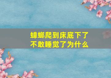 蟑螂爬到床底下了不敢睡觉了为什么